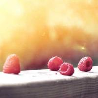 Executive Loafer alternate view 1