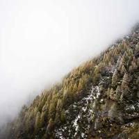 Court Classic alternate view 1