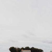 Court Classic alternate view 2