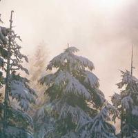 Hoop Master X alternate view 2