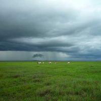 Hoop Master X alternate view 3